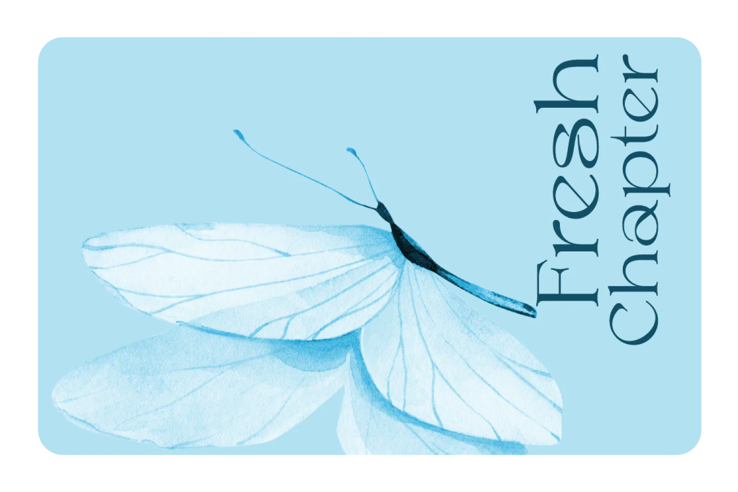 New Card Cover Drops